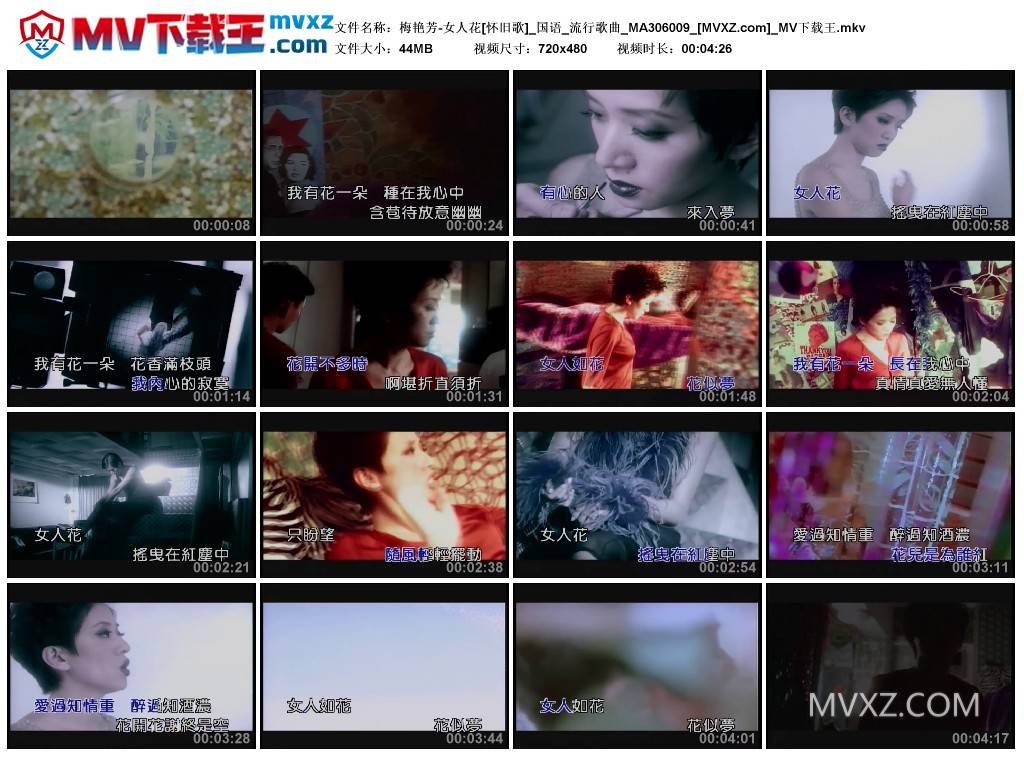 梅艳芳-女人花[怀旧歌]_国语_流行歌曲_MA306009